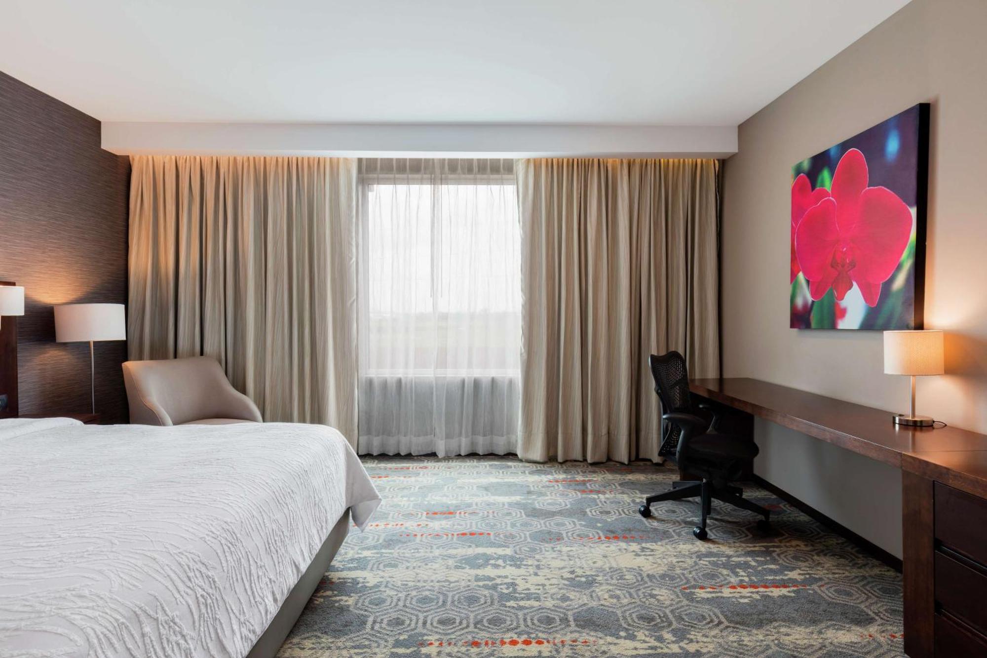 Hilton Garden Inn Salamanca Extérieur photo